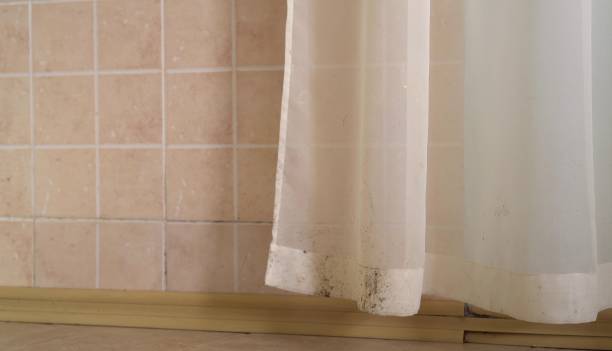 Best Mold Removal for HVAC Installations  in Brigantine, NJ