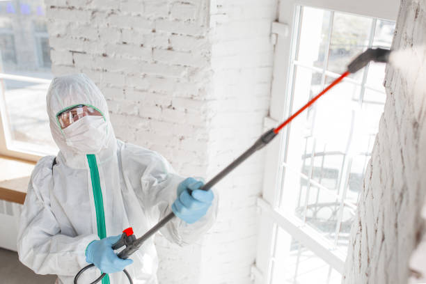 Environmental Consulting for Mold Prevention in Brigantine, NJ