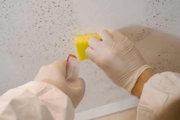 Best Airborne Mold Testing  in Brigantine, NJ