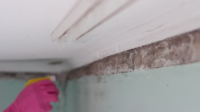 Best Indoor Air Quality Assessment  in Brigantine, NJ